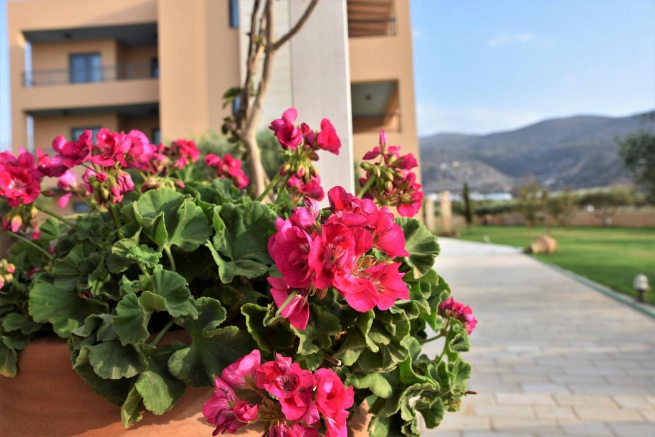 Golden Bay Hotel Apartments Mália Zewnętrze zdjęcie